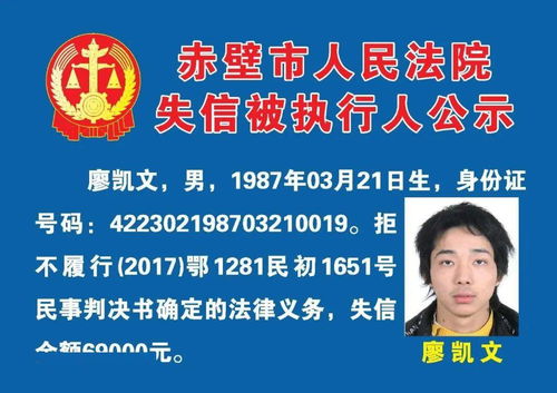 咸宁31人实名曝光 技术转让与技术维护服务背后的警示