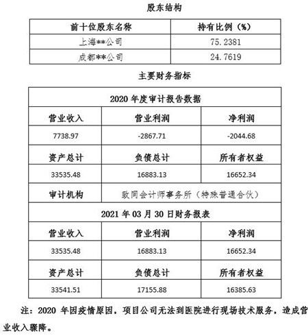 成都智慧医疗软件技术服务公司转让项目分析及策略报告