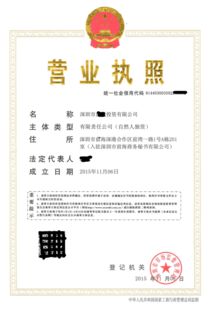 细数转让金融科技贸易各行业小规模与一般纳税人公司的利弊——技术转让及维护服务深度解析